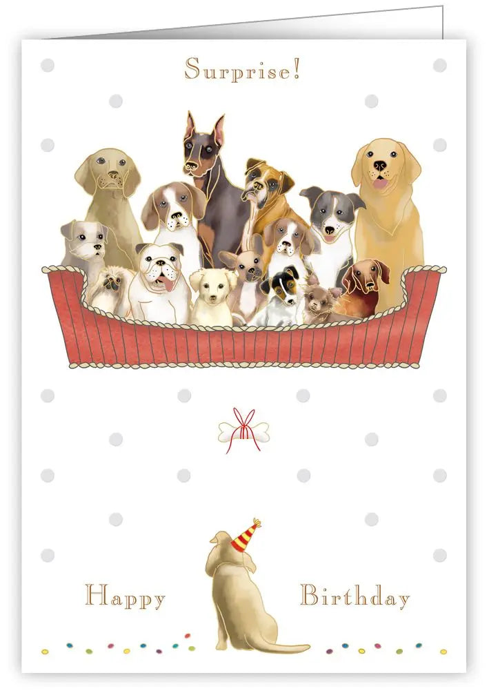 Surprise Birthday Card