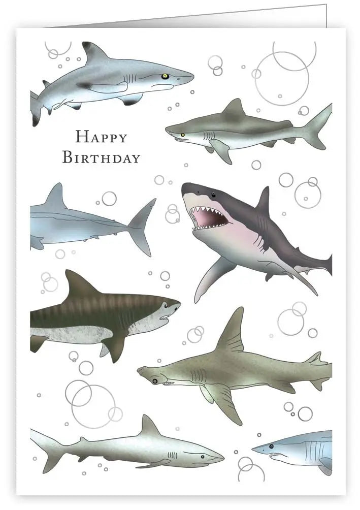 Shark Birthday Card