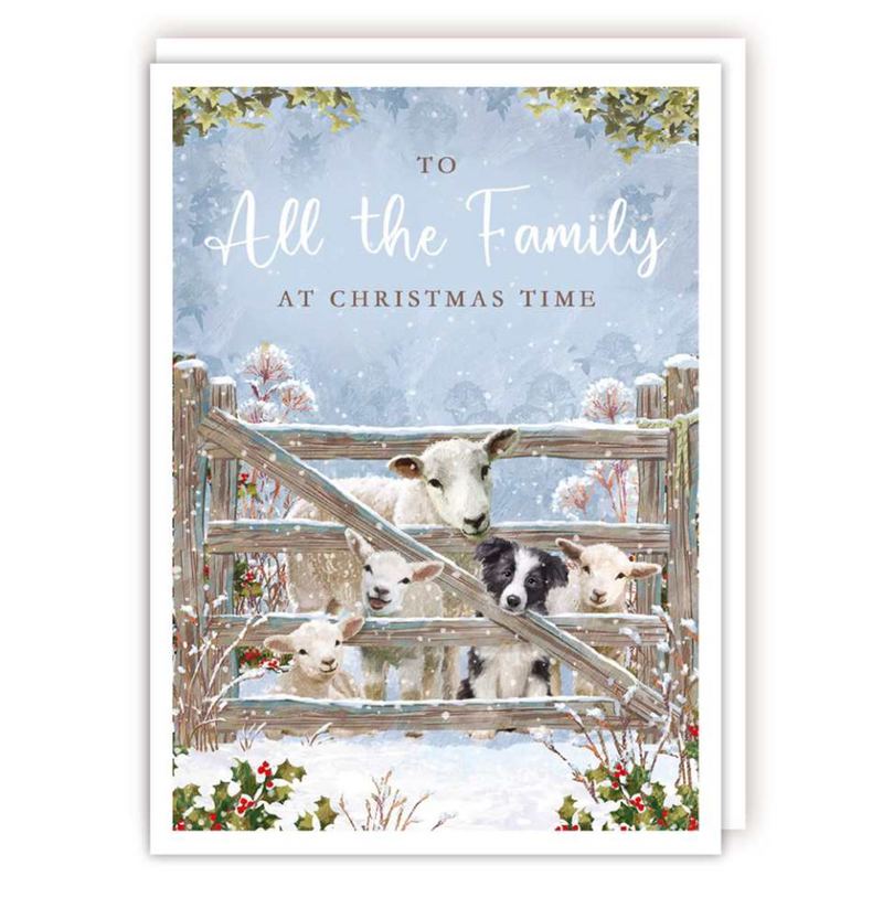 To all the Family at Christmas Time Card