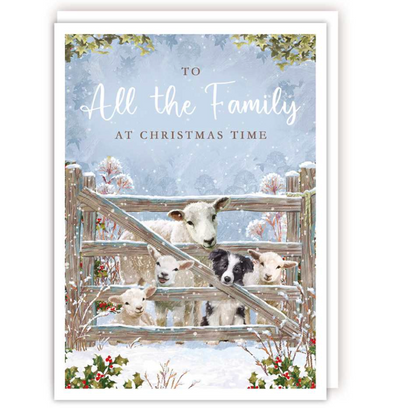 To all the Family at Christmas Time Card