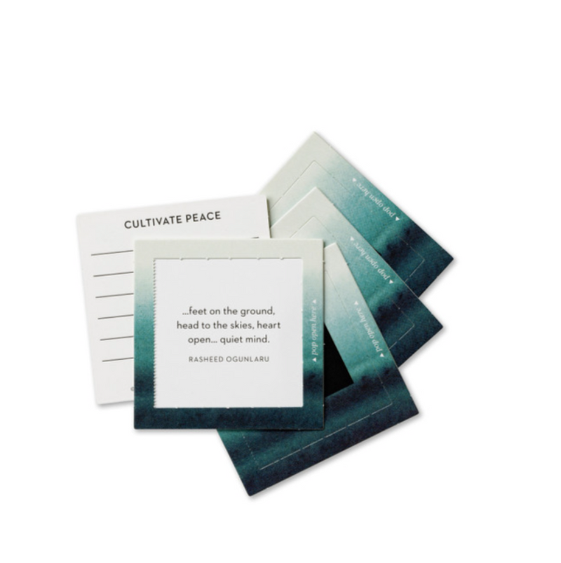 Embrace Calm ThoughtFulls: 30 Pop-Open Cards with Messages Inside