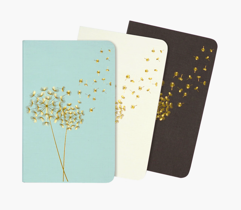 Jotter Mini Notebook Set of 3 : Dandelion Wishes