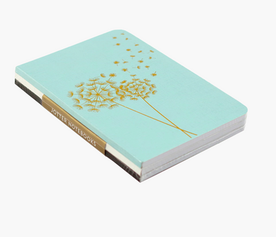 Jotter Mini Notebook Set of 3 : Dandelion Wishes