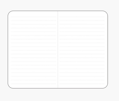 Jotter Mini Notebook Set: Daffodils Set of 3