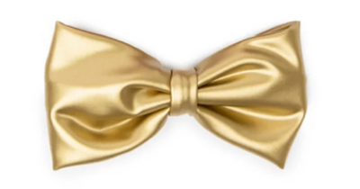 Sparkle Bows Clip