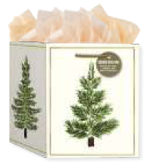 Pine Botanica Square Base Gift Bag