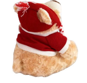 Canada Bear