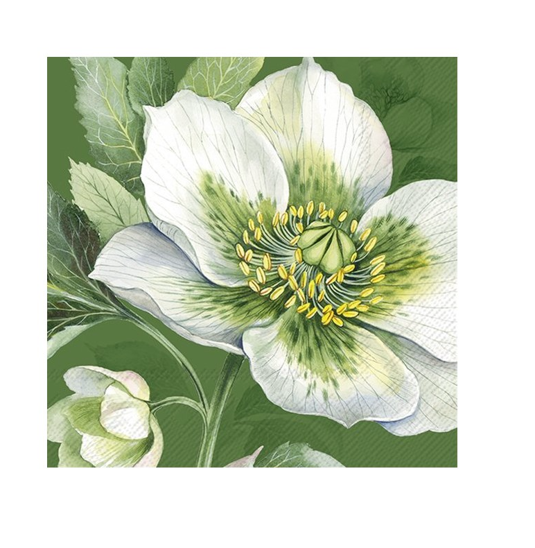 Elegant Christmas Rose Luncheon Napkins