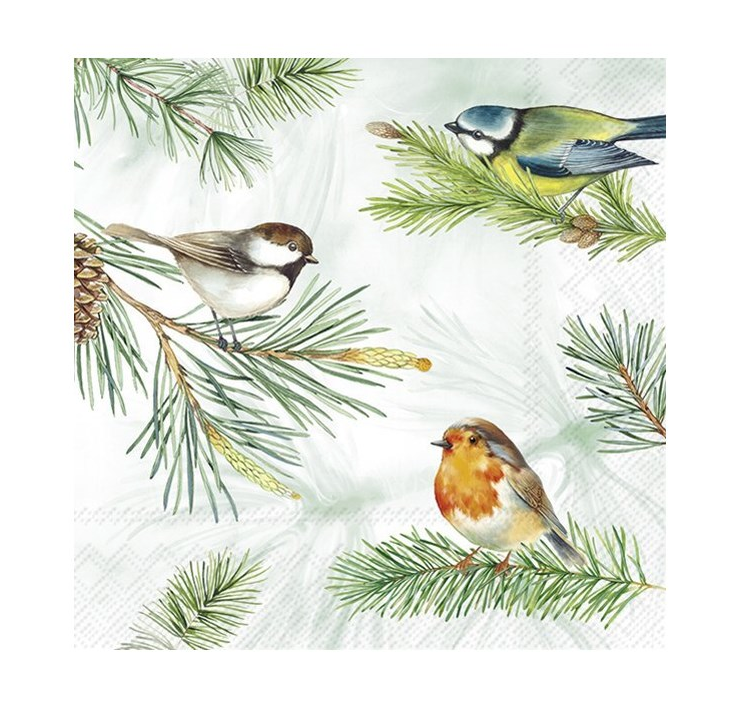 Charming Birds Cocktail Napkins