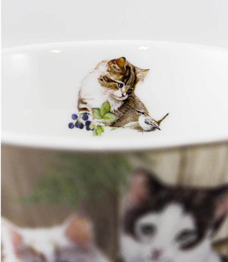 Cats Mug in a Box
