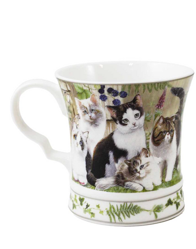 Cats Mug in a Box