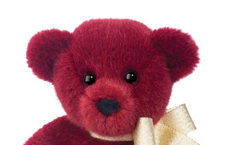 Berry Teddy Bear