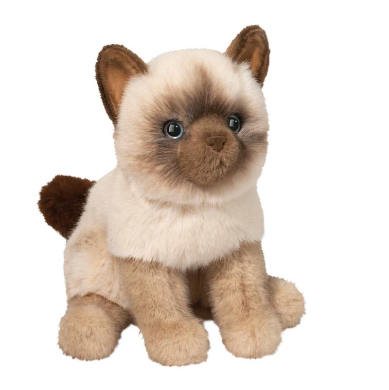 Fu Siamese Cat