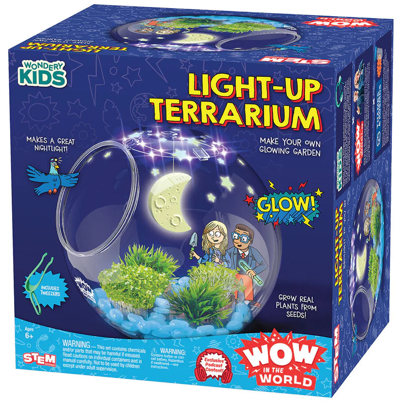 Light-Up Terrarium