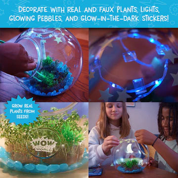 Light-Up Terrarium