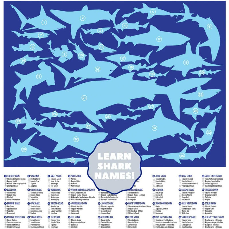 Sharks -100 pc Puzzle 🦈