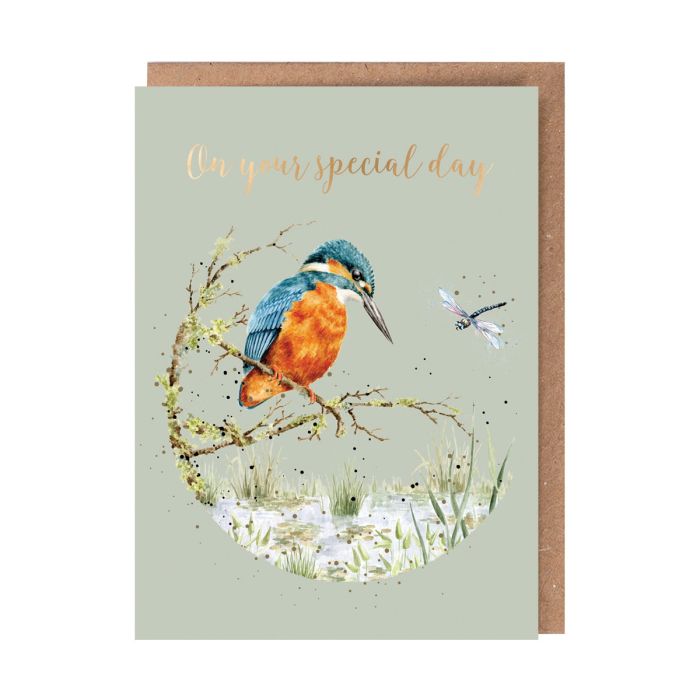 Pond Dipping  Kingfisher Birthday Card