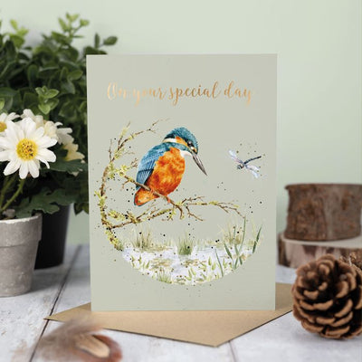 Pond Dipping  Kingfisher Birthday Card