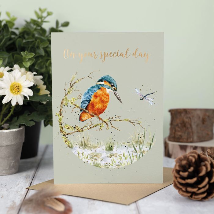 Pond Dipping  Kingfisher Birthday Card