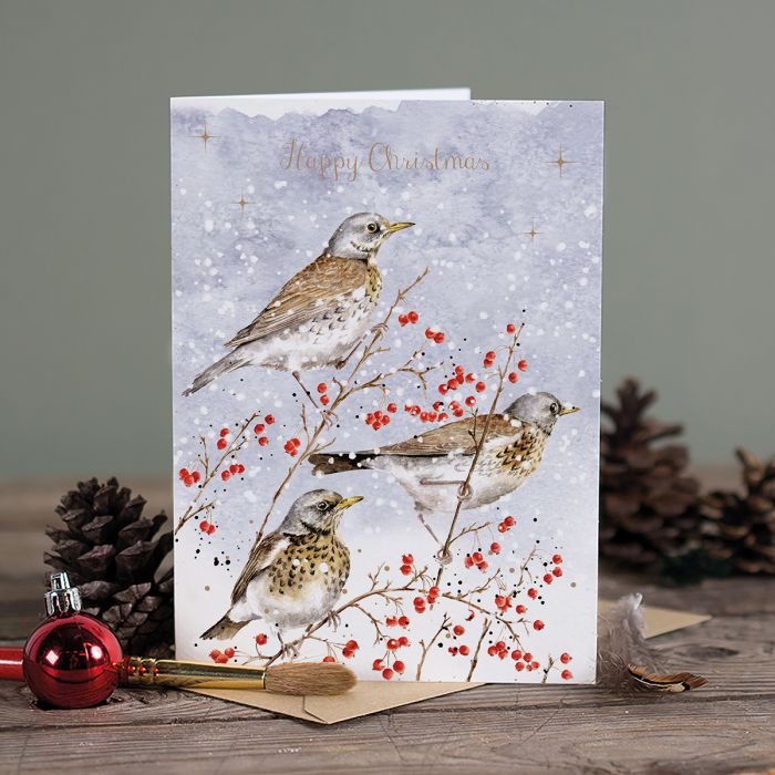 Winter Visitors&