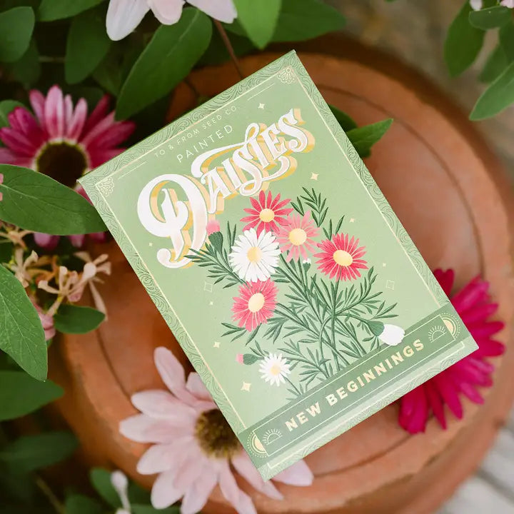 Painted Daisies (New Beginnings) - Floriography Seed Packet