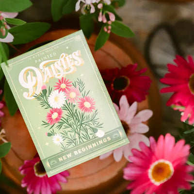 Painted Daisies (New Beginnings) - Floriography Seed Packet