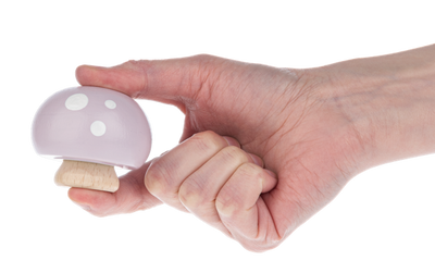 Wooden Mushroom Squeaker