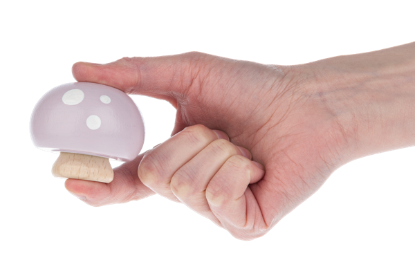 Wooden Mushroom Squeaker