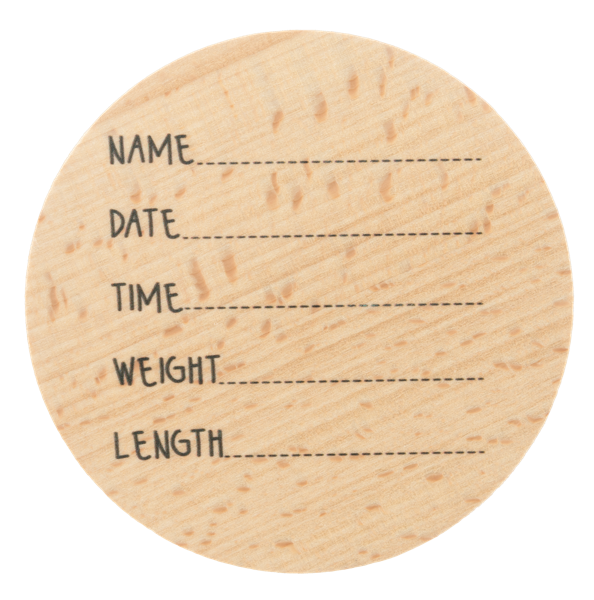 Milestone Photo Prop Set - Occasions (7 pc. set)