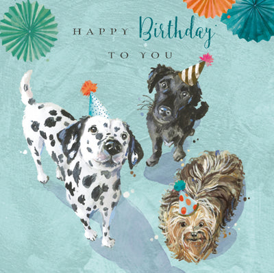 Dog's in Party Hats Birthday Card