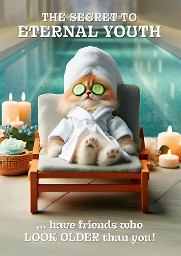 Eternal Youth Spa Cat Card