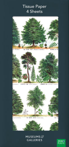 Museums & Galleries Tissue British Forest Trees