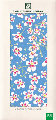 Museums & Galleries Tissue Saxifrage