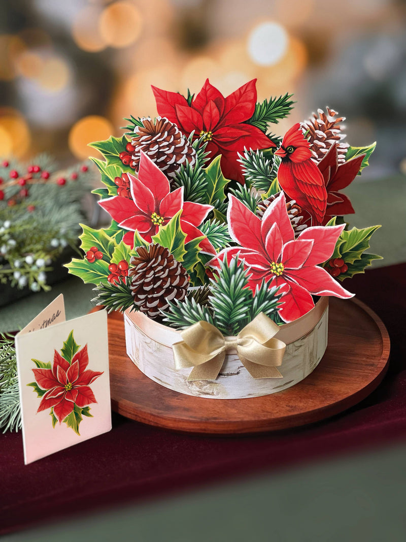 Birch Poinsettia Pop - up Greeting Card - Lemon And Lavender Toronto