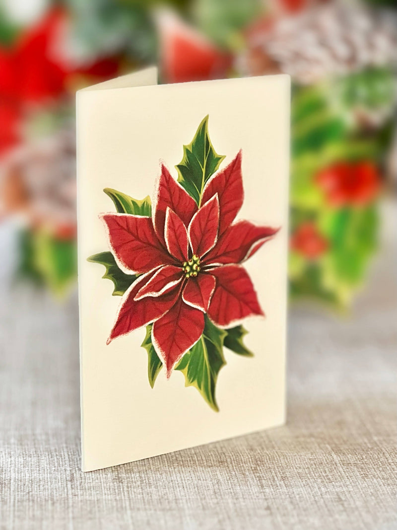 Birch Poinsettia Pop - up Greeting Card - Lemon And Lavender Toronto