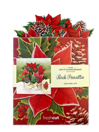 Birch Poinsettia Pop - up Greeting Card - Lemon And Lavender Toronto