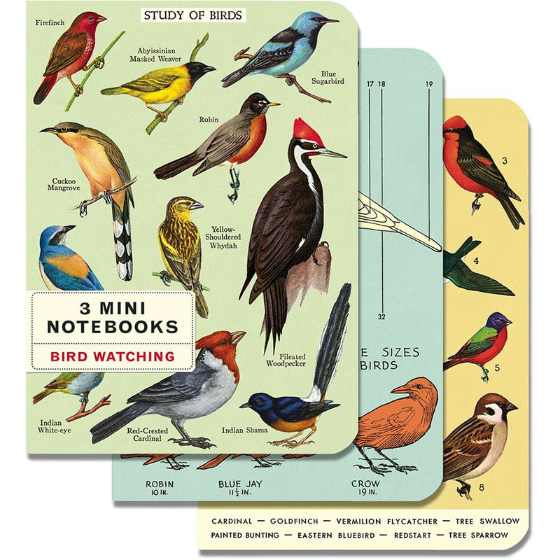 Bird Watching- 3 Mini Notebooks Cavallini - Lemon And Lavender Toronto
