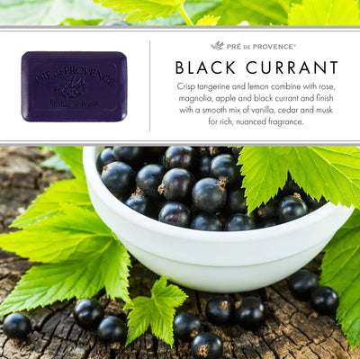 Black Currant Soap Bar - Made in France 150g - Lemon And Lavender Toronto