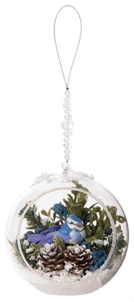 Blue Jay Terrarium - Lemon And Lavender Toronto