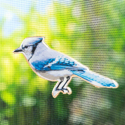 Blue Jay Two - Sided Magnet - Lemon And Lavender Toronto