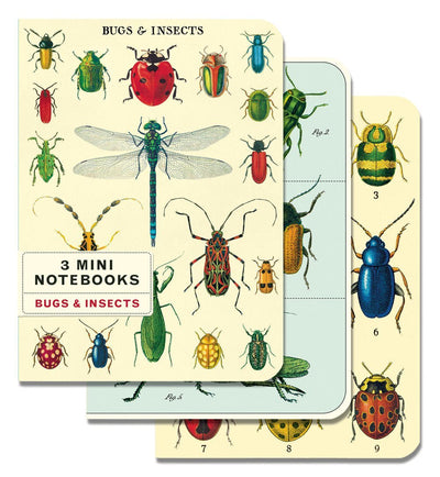 Bugs & Insects - 3 Mini Notebooks Cavallini - Lemon And Lavender Toronto