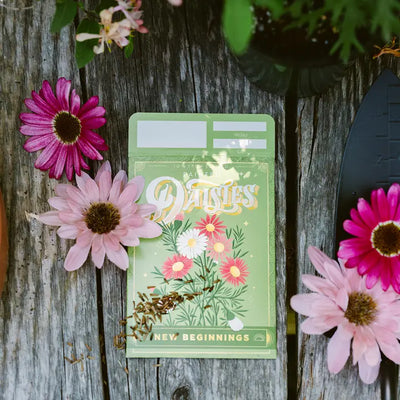 Painted Daisies (New Beginnings) - Floriography Seed Packet