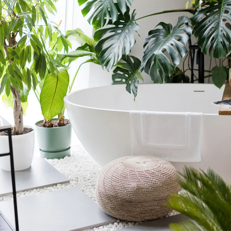 The Loo Forrest- 100% All Natural, Plant Based