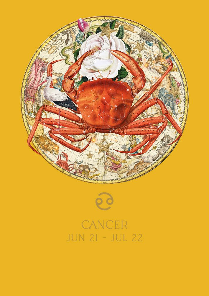 Cancer Zodiac Birthday Card - Lemon And Lavender Toronto