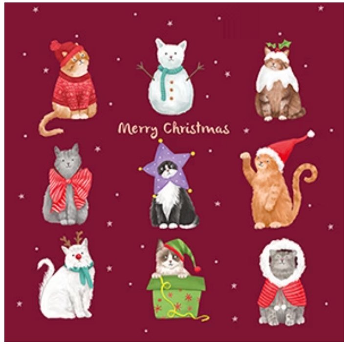 Christmas Cats - Box of 12 Christmas cards - Lemon And Lavender Toronto