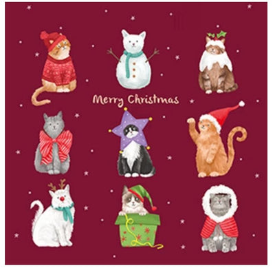 Christmas Cats - Box of 12 Christmas cards - Lemon And Lavender Toronto