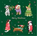 Christmas Dogs - Box of 12 Christmas cards - Lemon And Lavender Toronto