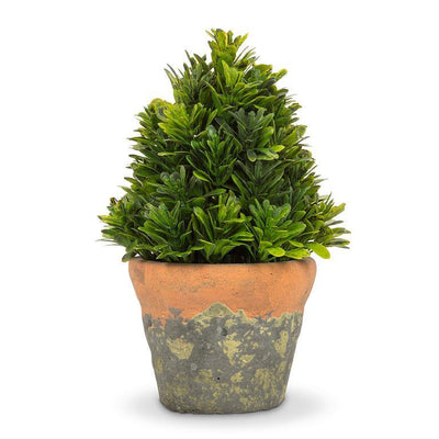 Cone Shaped Greenery in Natural Pot - Lemon And Lavender Toronto
