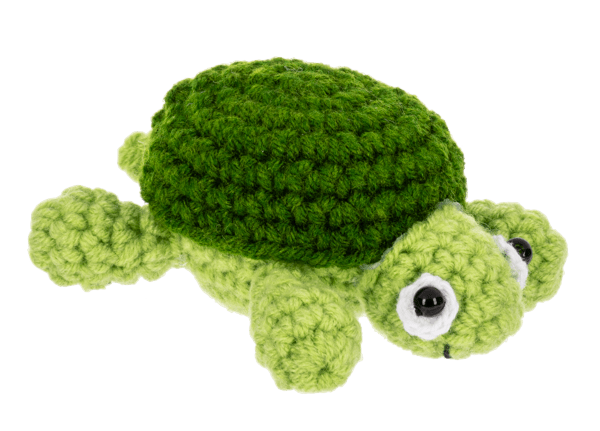 Crochet Turtle Token - Lemon And Lavender Toronto