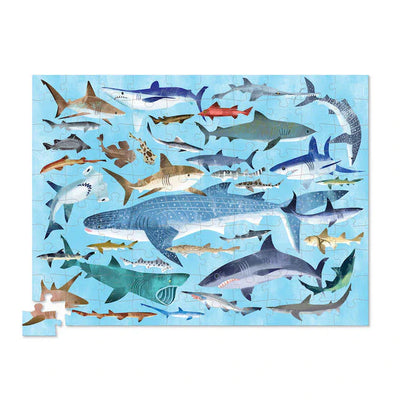 Sharks -100 pc Puzzle 🦈
